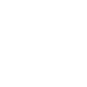 A plain white circle centered on a white background.